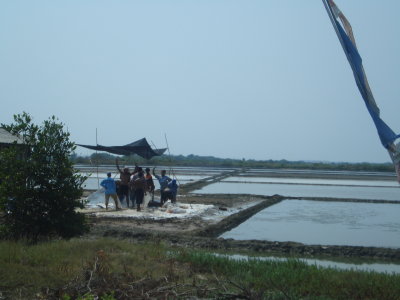 salt fields