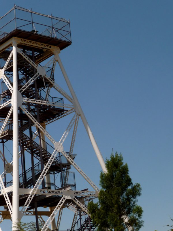   Bendigo The Lookout Tower Rosalind Park