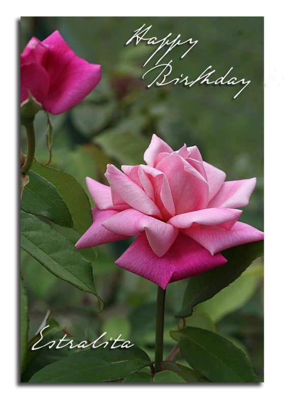 Happy Birthday Estralita.