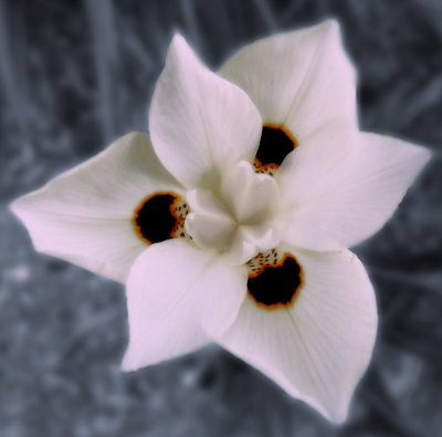 g1/42/347642/3/105599483.XqIX00fC.jpg