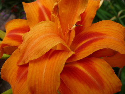 g1/42/347642/3/105936311.0VB2vAD6.jpg