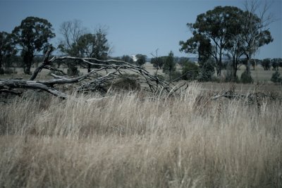 g1/42/347642/3/110145675.UNjcGKy5.jpg