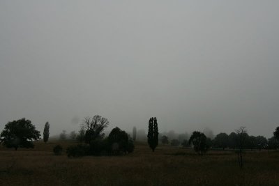 g1/42/347642/3/93060440.F04XlnP4.jpg