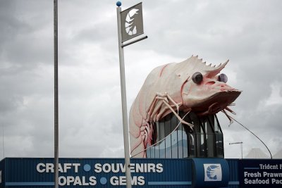 Ballina NSW ~ Big Prawn