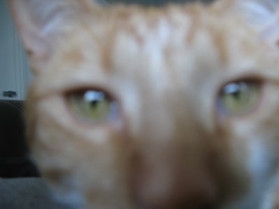 IMG_1415_1.JPG