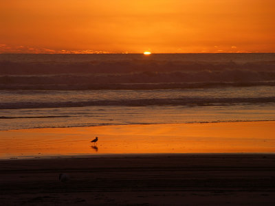 New Zealand West Coast Sunset