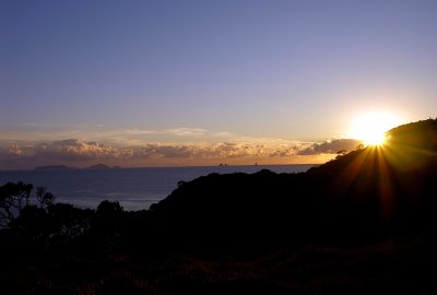 Sunrise at Tutukaka
