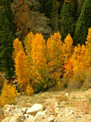 Rock 'n Aspens