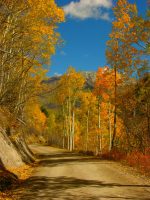 Down the Quarry Road