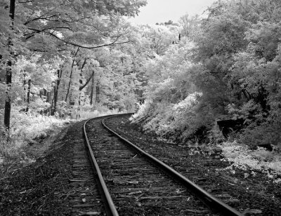 Untitled (Infrared)
