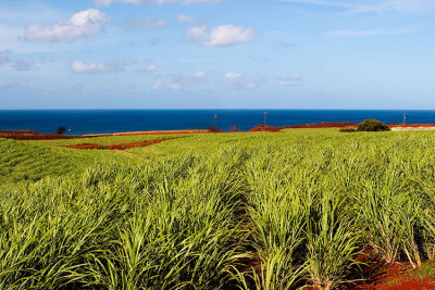 L48 Sky Sea Sugar (Kauai)