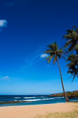 L49 Salt Pond Beach (Kauai)