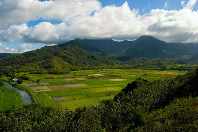 L51 Hanalei Mountains (Kauai)