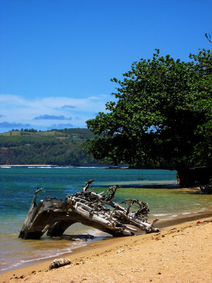 L56 'Anini Beach (Kauai)