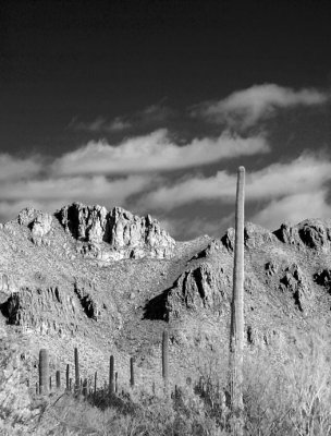 L7 Tucson Mountains (Tucson)