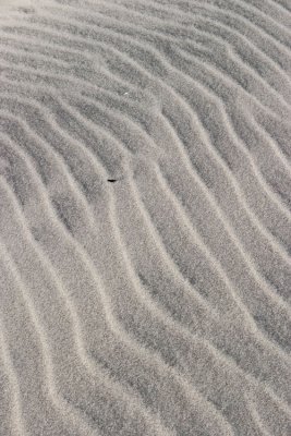 Dune Terraces