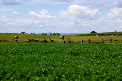 Confederate Lines