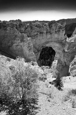 Natural Bridge