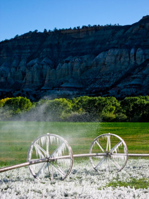 Frosty Irrigation