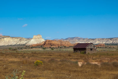 Mesa View