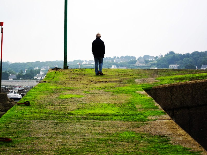 La Bretagne verte