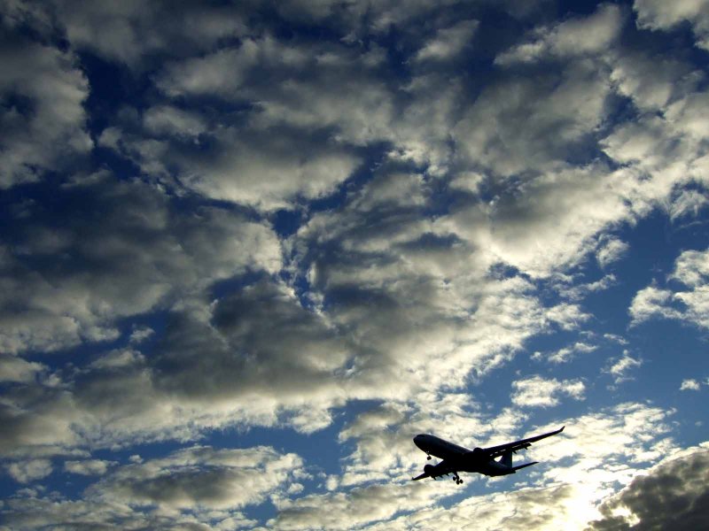 Coming in to land