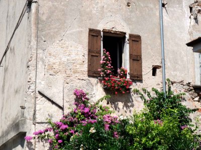 Bogliacco