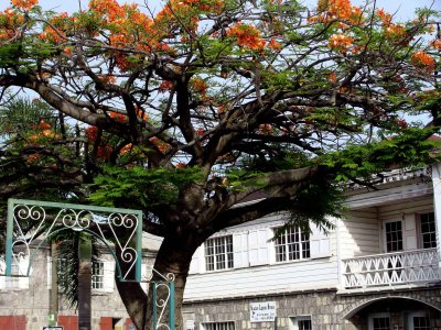 Nevis