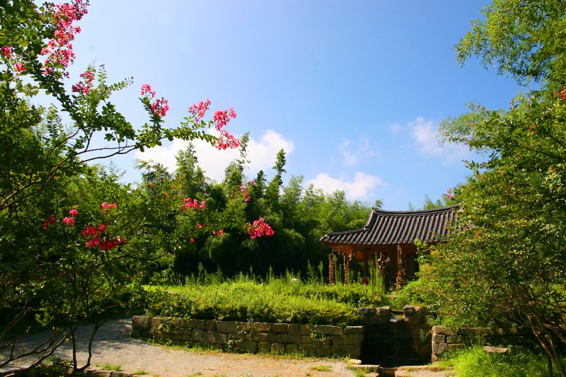 Bamboo Park 21.jpg