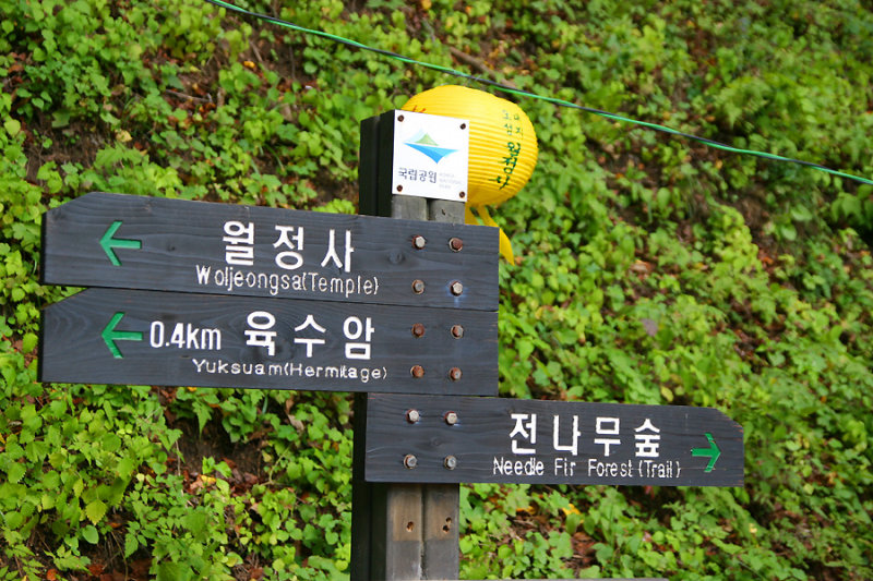 Woljeongsa temple