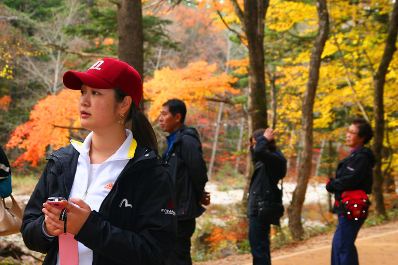 2nd trip - Woljeongsa temple - Needle Forest
