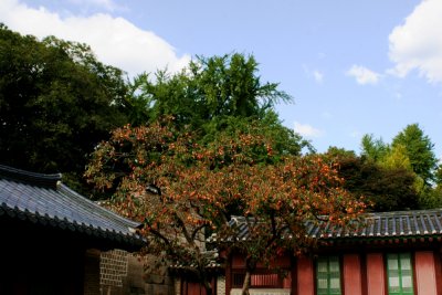 Changkyeong Palace