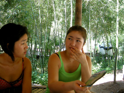 Bamboo Park.jpg