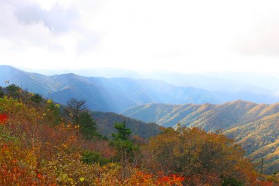 The peak - Birobong
