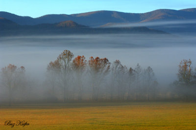 Bathed in Mist