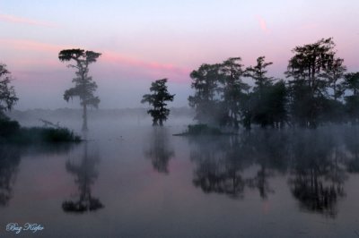 Lake Martin, Louisiana - 2009