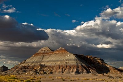 The Painted Desert and the Petrified Forest National Parks - 2009