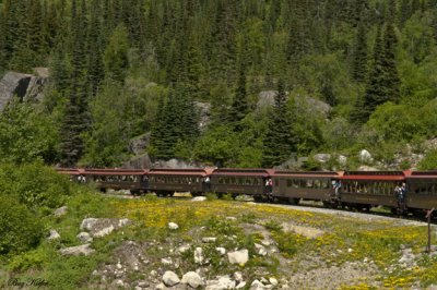 Train to White Pass out of Skagway