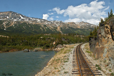Turn by the Tarn