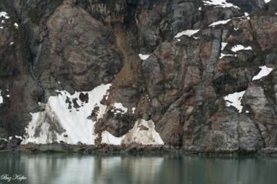 Shoreline at Glacier Bay - 40 feet to High Water Mark