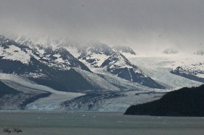 One of the College Fjord Glaciers