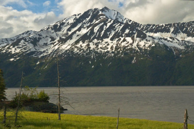 Kenai Mountains