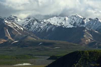 Alaska Range in Danali