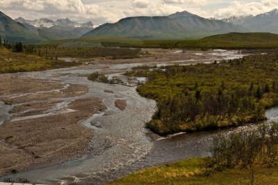 Scantuary River-Denali