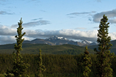 View from Denali Lodge