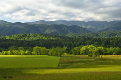 Morning Light Falls on a Field