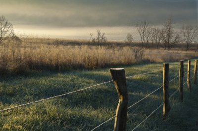 Fence Line on a Frosty Morning