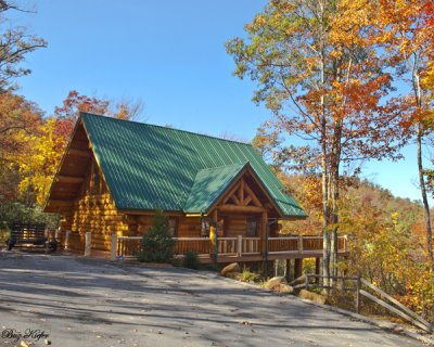Cabin on Cove Mountain-Wears Valley