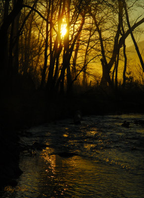 Sunrise - Abrams Creek