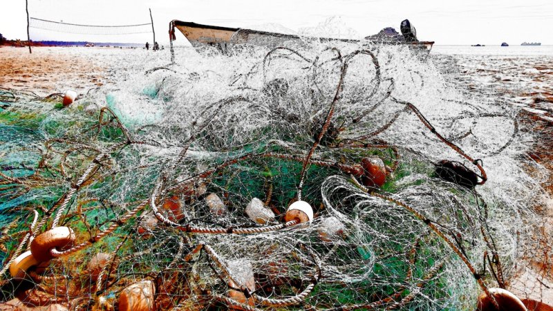 La Red de Pesca